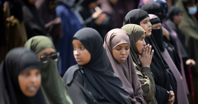 Large Welfare Fraud Involving Somali Migrants in Ohio