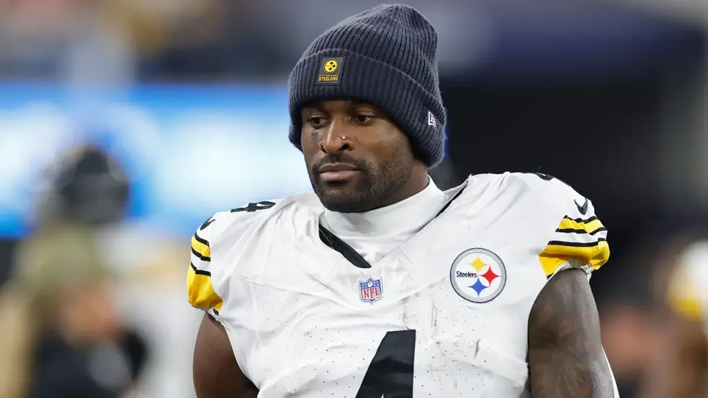 Lions fan involved in confrontation with Steelers player claims not to have used racial slurs