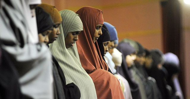 Local Reporters Highlight Possible Somali Fraud Across Various States