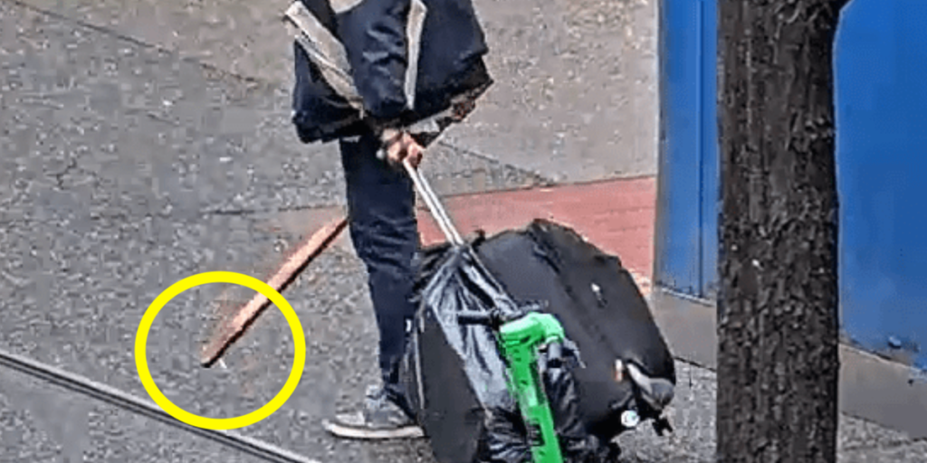 Man with past assault conviction accused of hitting elderly woman in the face with a stick topped with a metal screw