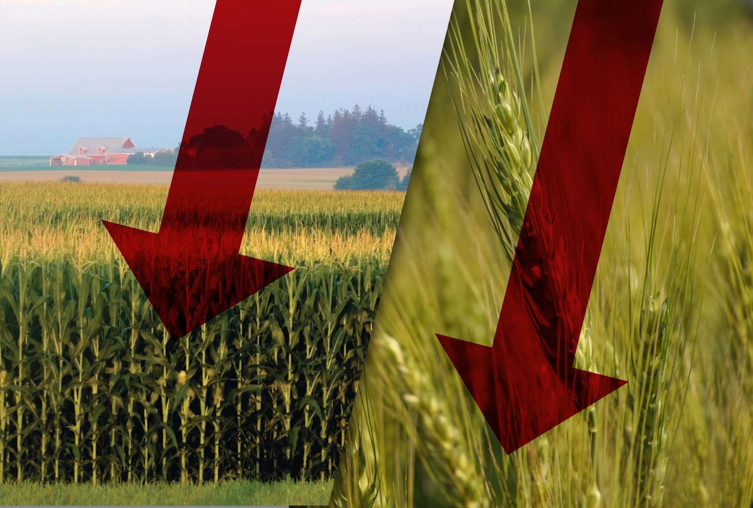 Market Close Sees Profit-Taking on December 30, 2025