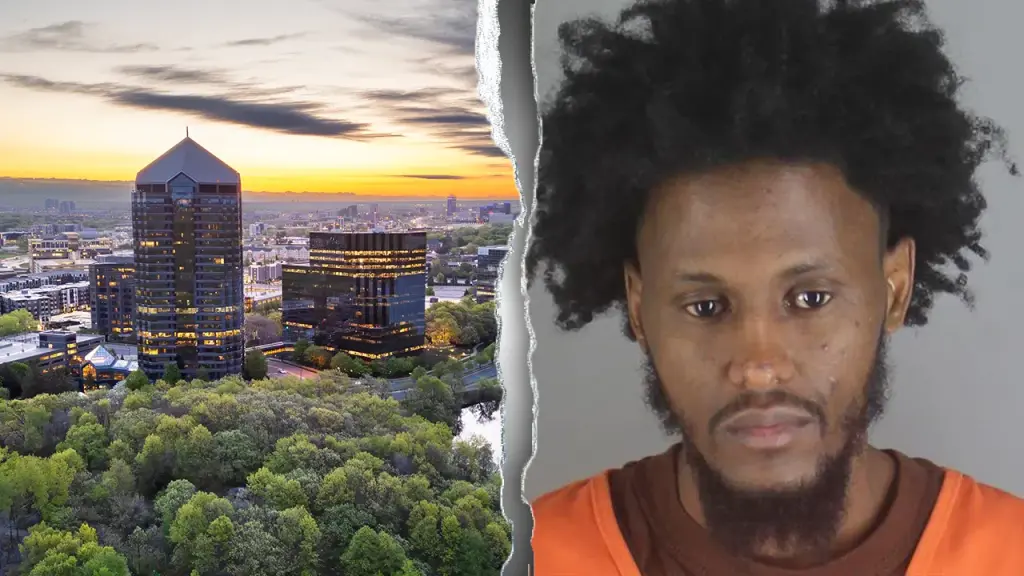 Minnesota man with a history of sexual offenses faces charges of kidnapping and rape.