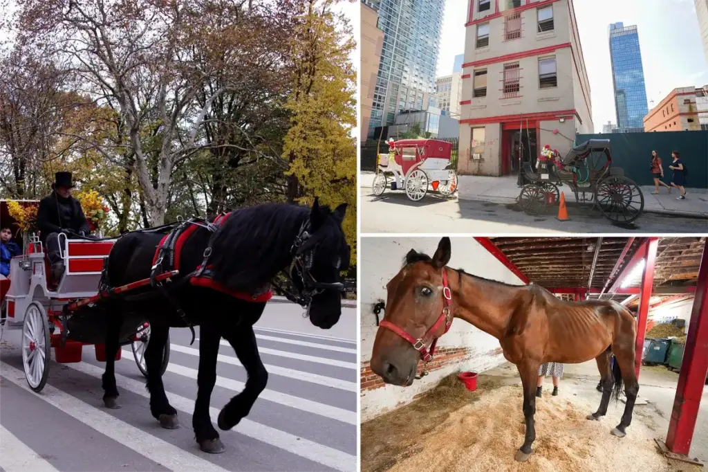 NYC horse carriages decline testing, leading to city threats