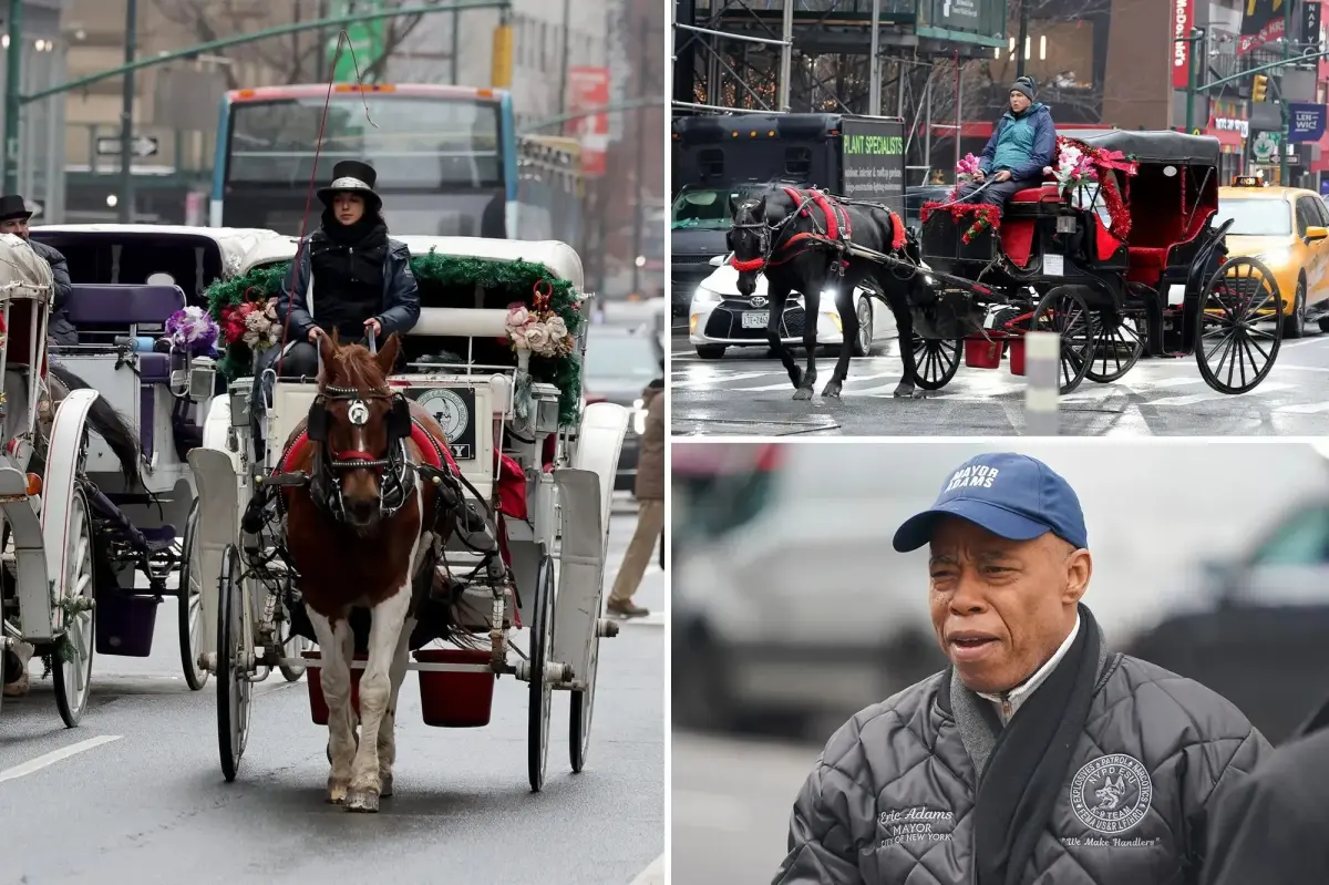 NYC horse carriages need city vet inspections or risk losing their license: last-minute order from Adams