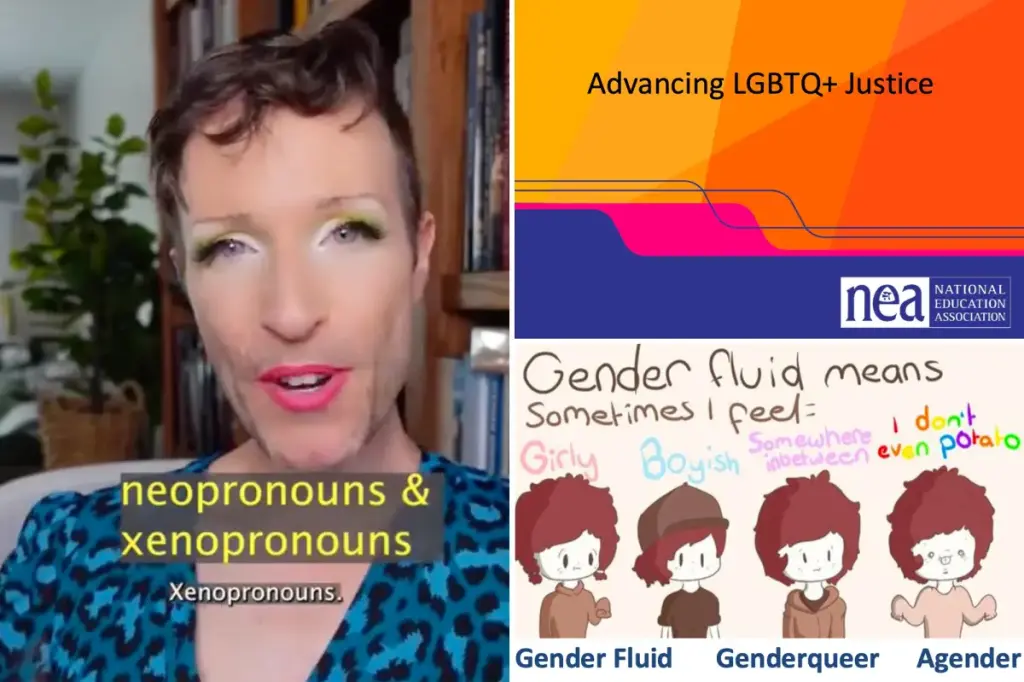 National Education Association guides staff on neopronouns, xeopronouns, and addressing conservative challenges