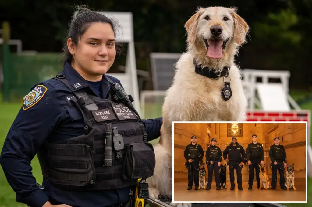 New NYPD calendar features K-9s named for deceased officers: 'It meant a lot to me'