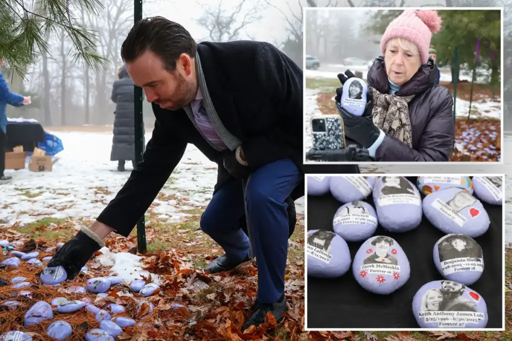 Over 100 opioid victims remembered by Purple Rock Project on Long Island: 'It truly offers solace'