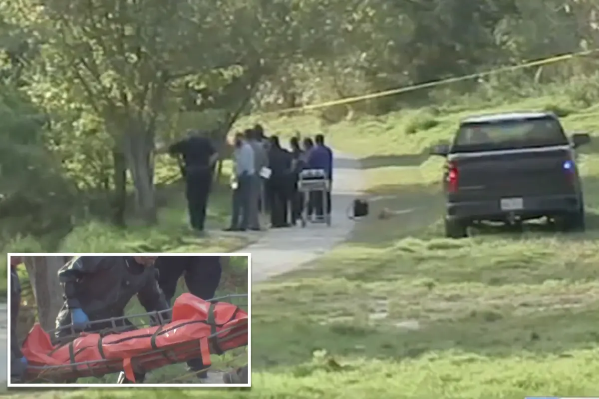 Over 30 bodies found in bayous around Houston this year raise concerns about a possible serial killer.