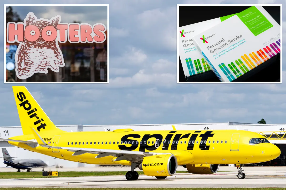 Over 700 companies in the US declared bankruptcy in 2025, marking a 14% increase from the previous year.