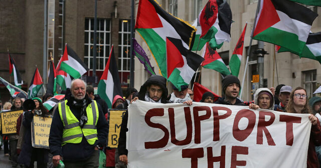 Palestine Activists on Hunger Strike in the UK May Be Facing Death