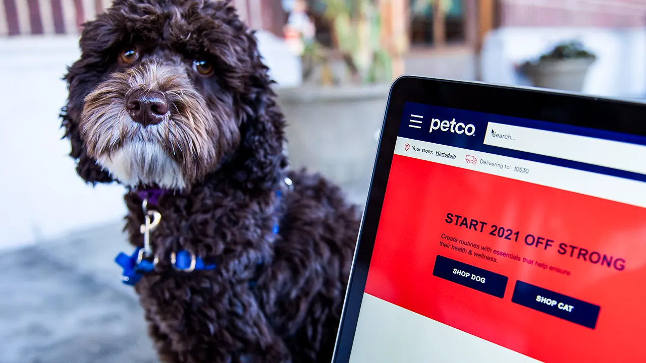 Petco data breach impacts customers, company provides free monitoring services