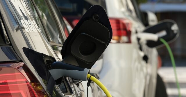 Plug-In Hybrid Electric Vehicle Fires in Colorado Garage, Hurting Delivery Driver