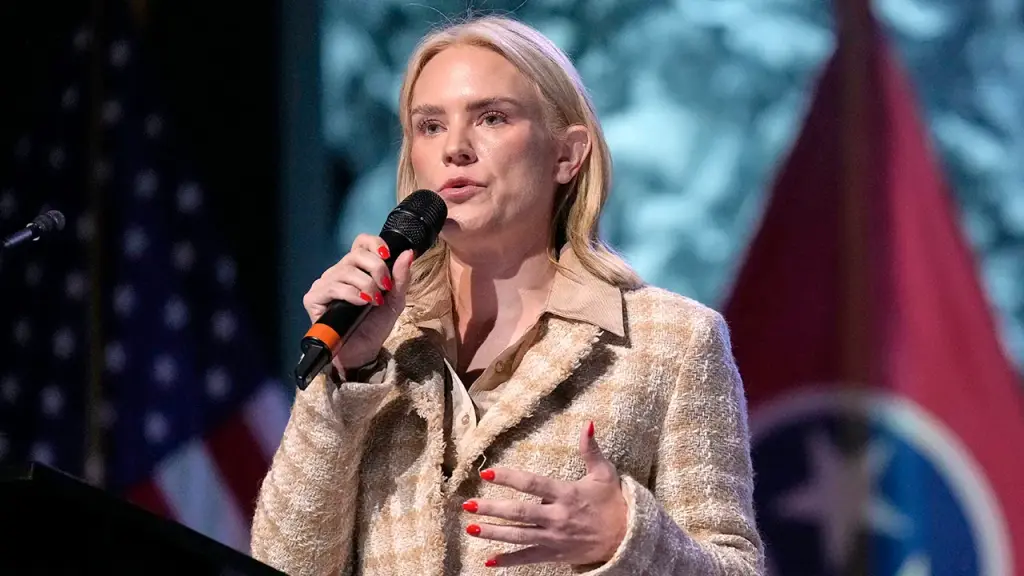 Political advisor describes 'AOC of Tennessee' as not a 'serious' candidate