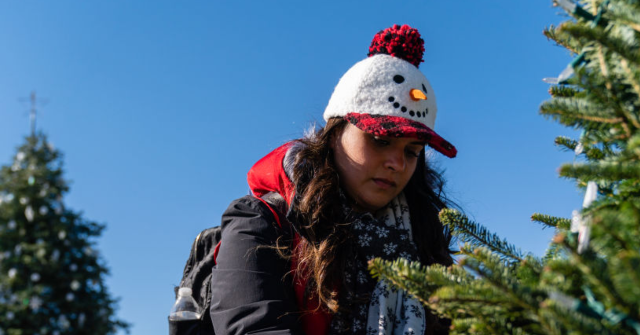 Portland's Holiday Tree Lighting Ceremony Skips Mention of 'Christmas'