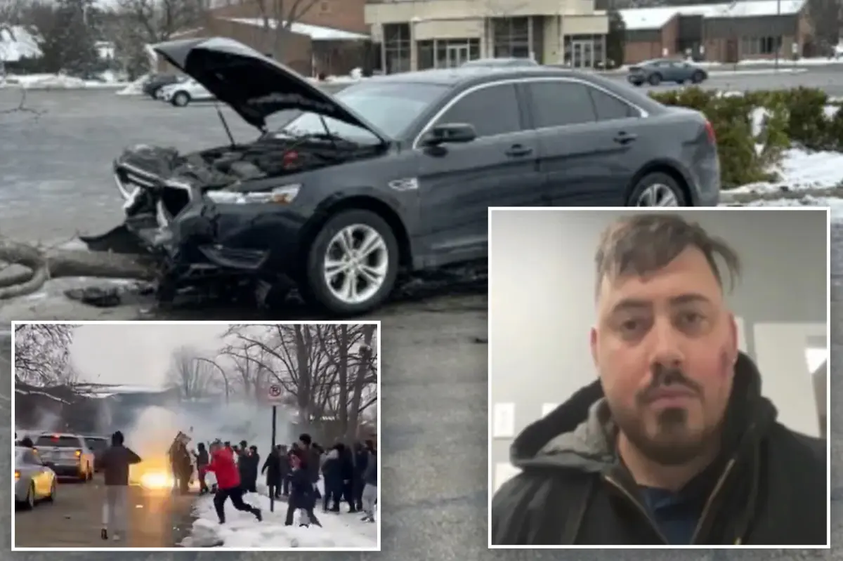 Protesters in Chicago threw snowballs at federal agents to defend a gang member, according to the Department of Homeland Security.