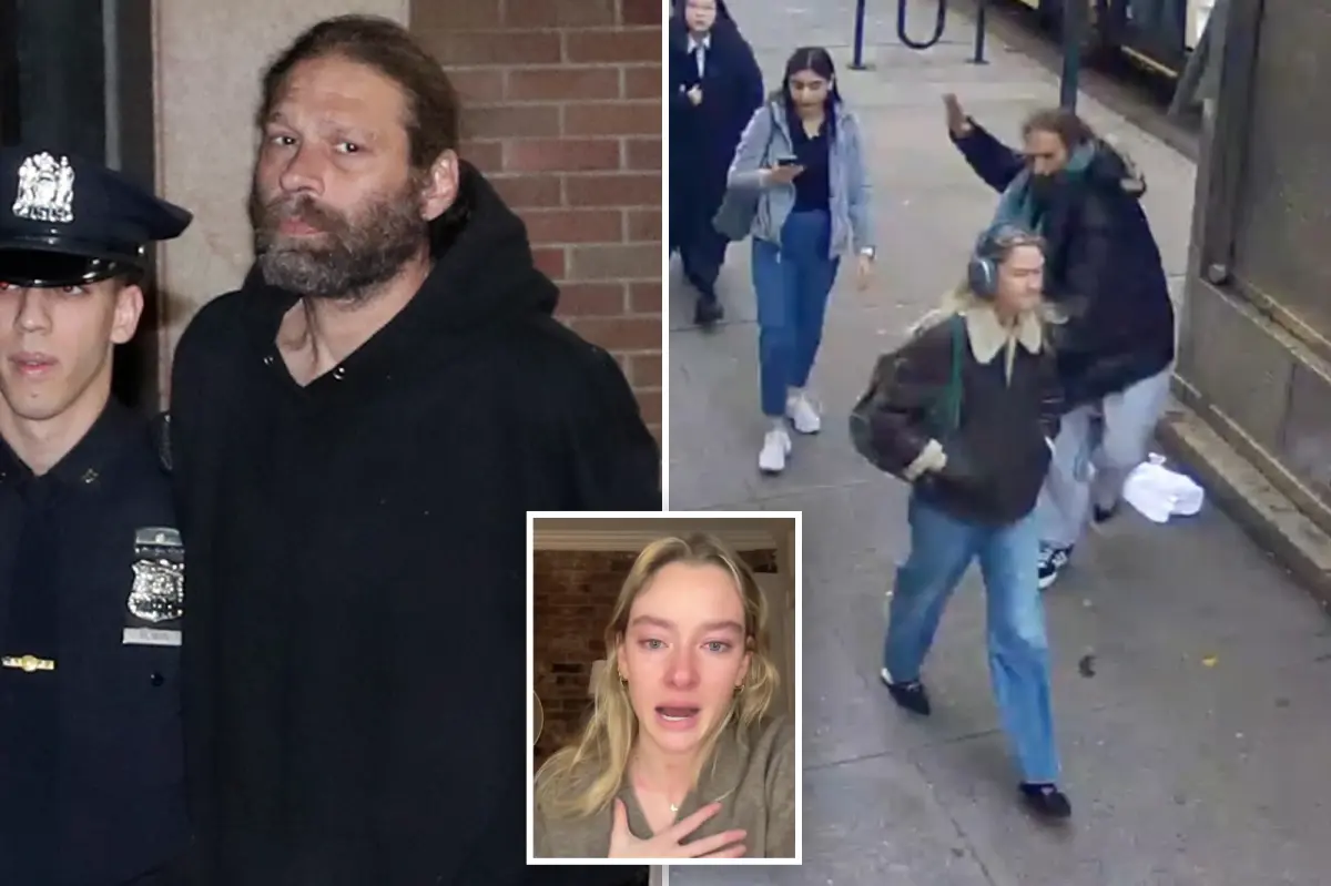 Repeat offender arrested for assaulting NYU student on her way to class reportedly pushed another woman on NYC street days before