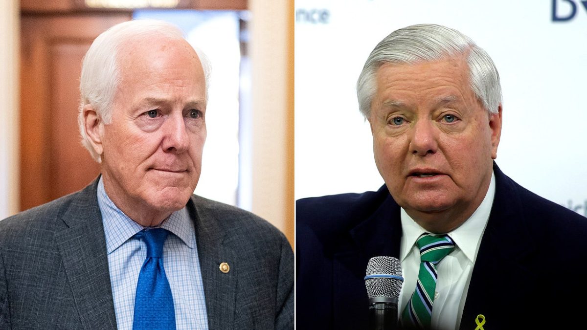 Republican senators urge the Pentagon to make controversial strike footage public