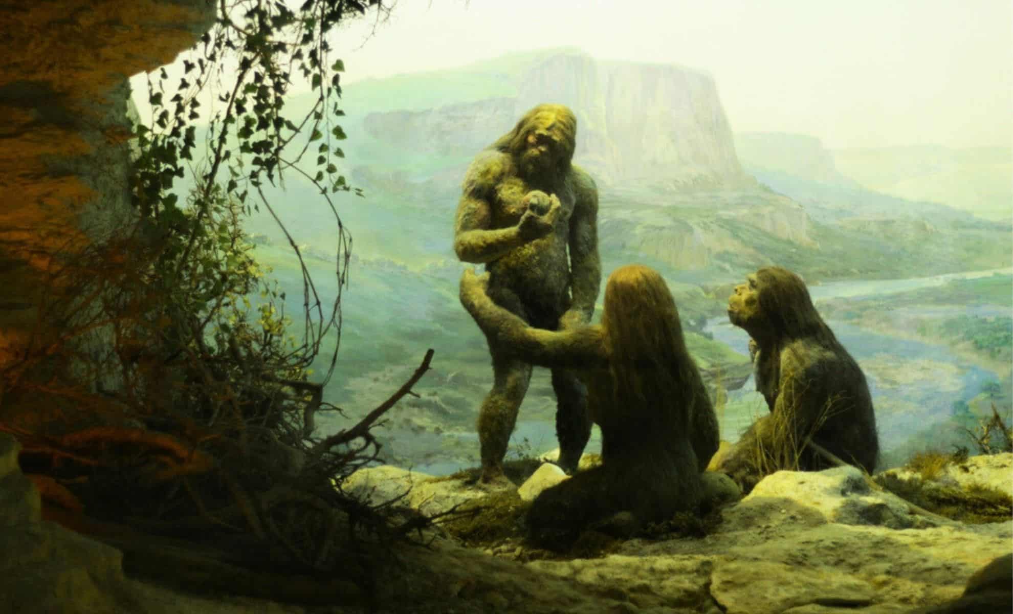 Researchers Discover Proof That Early Humans Consumed Processed Plant Foods Thousands of Years Before Farming