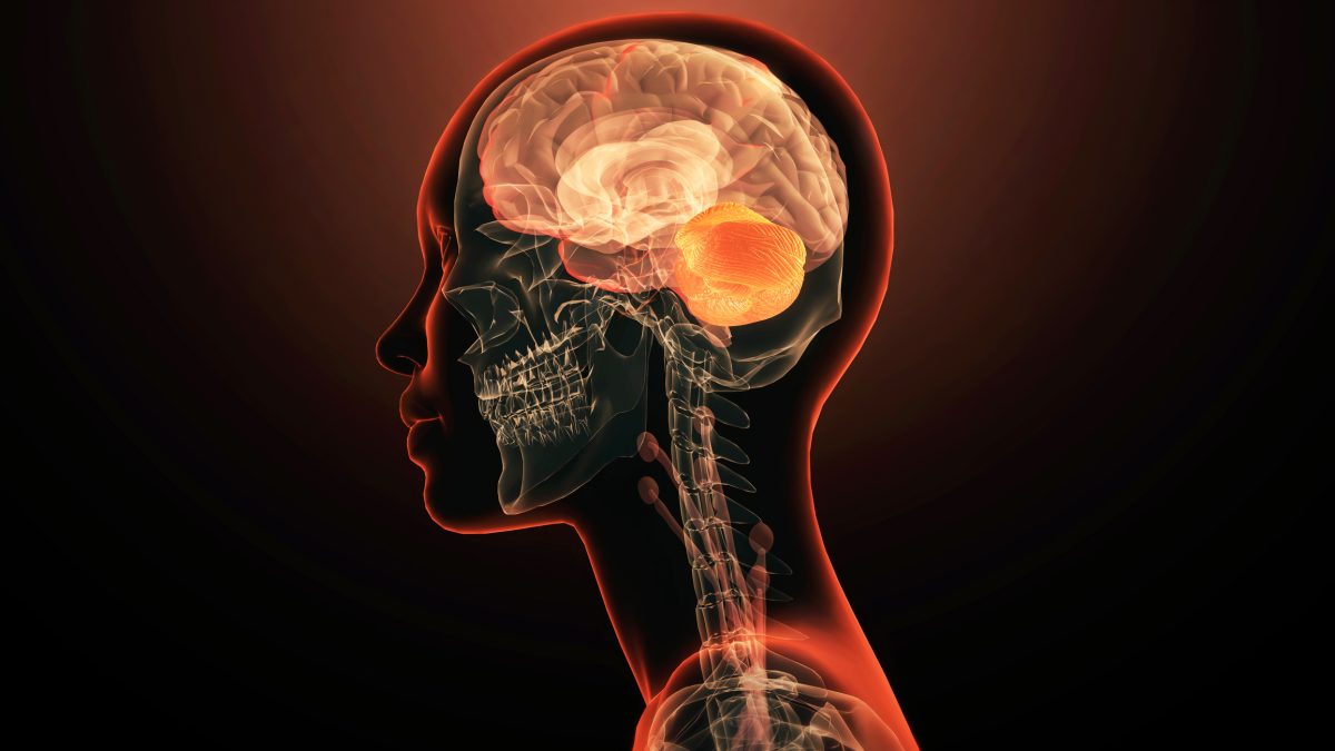 Researchers Identify the First Single Gene Linked to Mental Illness