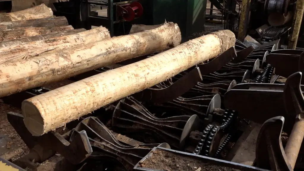 Sawmills in the US alert about increasing closures due to tariffs and reduced demand