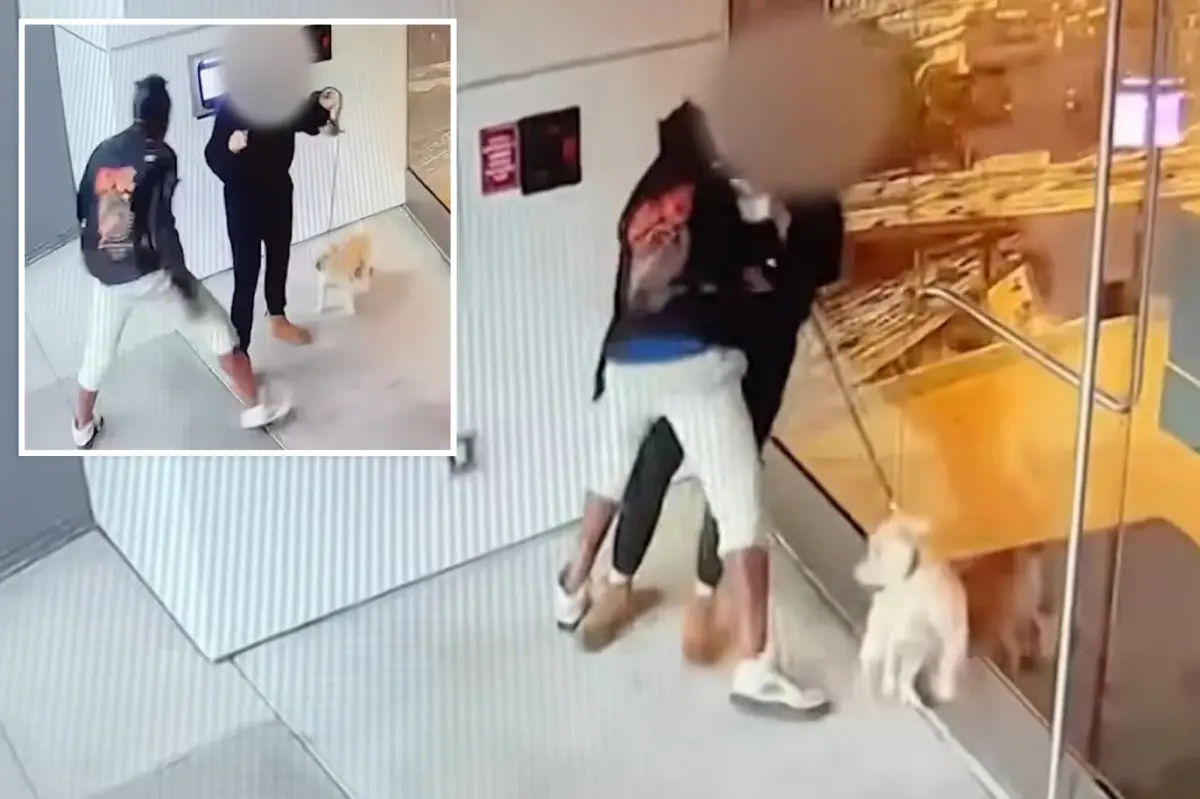 Sex assault in LA recorded on video, suspect who is homeless escapes