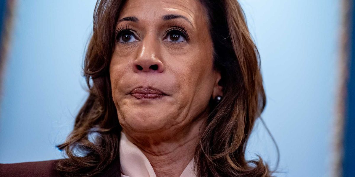 Some believe Kamala Harris is aiming for another presidential run, but donors and party leaders are concerned about her chances of winning.
