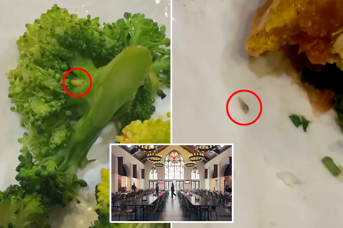 Students at USC find worms and bugs in food at campus dining halls