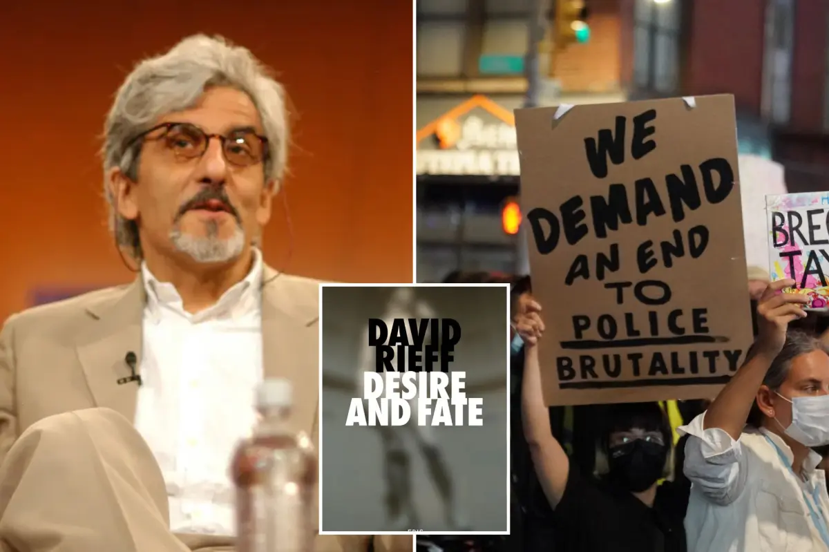 Susan Sontag's son cautions against celebrating the end of wokeness: 'Woke is not gone'