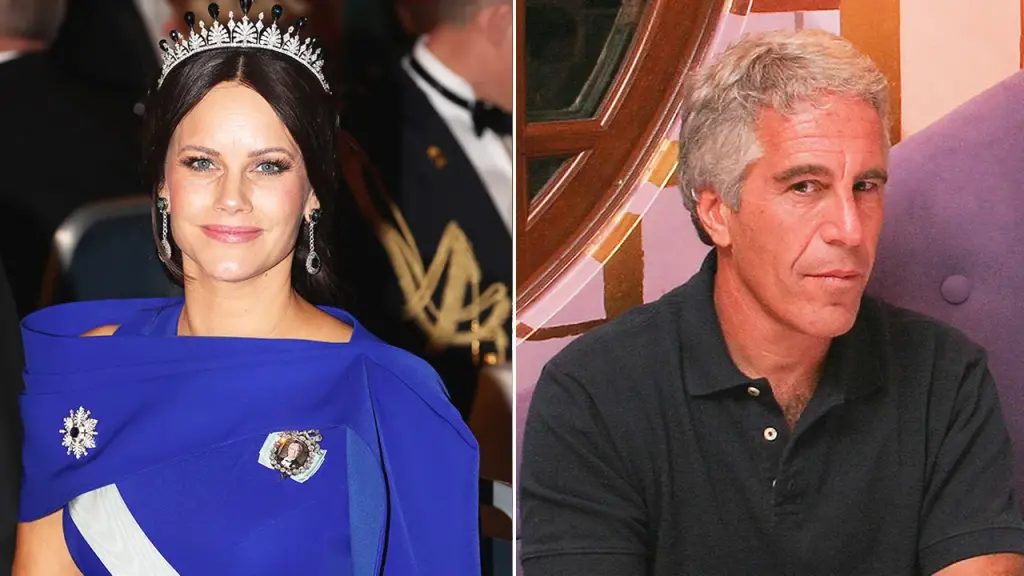 Swedish royal court acknowledges Princess Sofia met Epstein in 2005