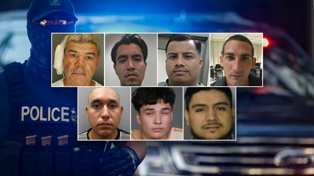 Ten most dangerous criminal undocumented immigrants taken into custody in 2025