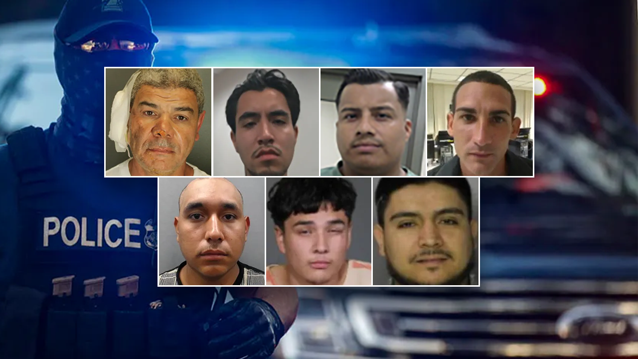 Ten most dangerous criminal undocumented immigrants taken into custody in 2025