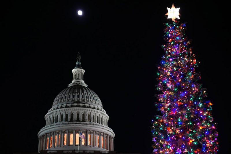 The Christmas tree ‘Silver Belle’ shines on the West Lawn in Washington, D.C.