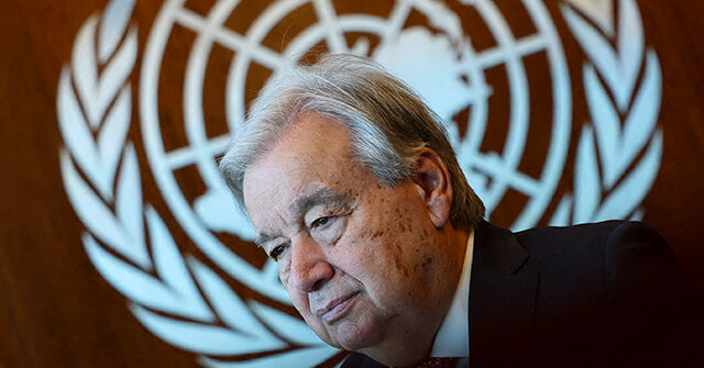 The United Nations Needs to Take Action in Pursuing Global Harmony