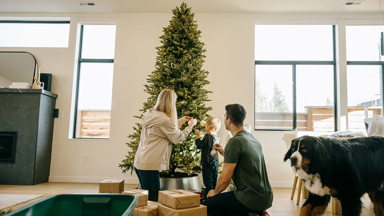 The trend of minimalist Christmas trees ignites discussion and frustration about holiday decoration choices.