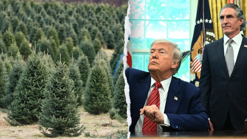 Trump administration reveals holiday cost-saving plan featuring $1 trees and lower-priced firewood