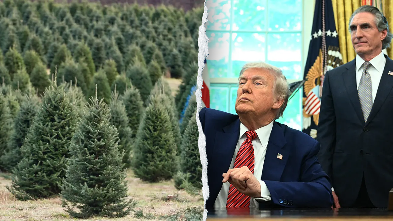 Trump administration reveals holiday cost-saving plan featuring $1 trees and lower-priced firewood