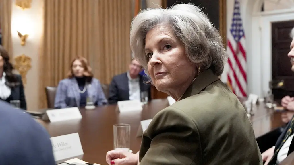 Trump plans to campaign before the midterm elections, according to chief of staff Susie Wiles.