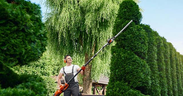 Trump's Immigration Policy Poses a Risk to the Country's Plants