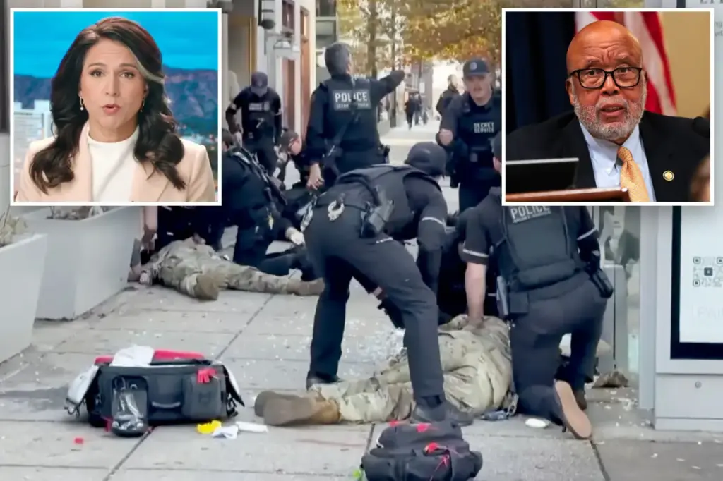 Tulsi Gabbard criticizes Democratic representative for saying the DC National Guard shooting was an 'unfortunate accident'