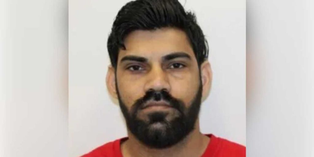 Undocumented truck driver charged with causing accident that took the lives of newlyweds