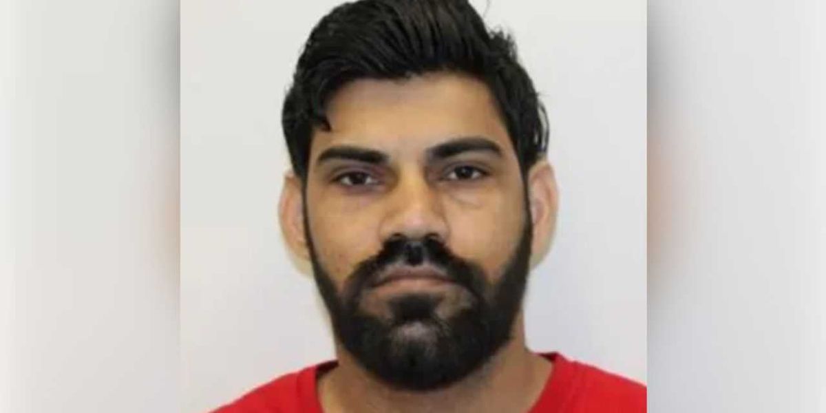 Undocumented truck driver charged with causing accident that took the lives of newlyweds