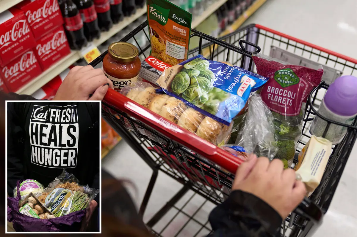 Welfare worker in California took $40,000 in benefits using names of elderly and deceased individuals.