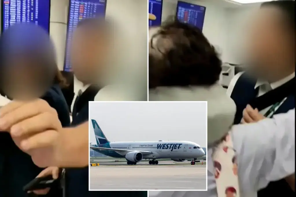WestJet airline criticized after agent rips up passenger's boarding passes during a video of a flight dispute.