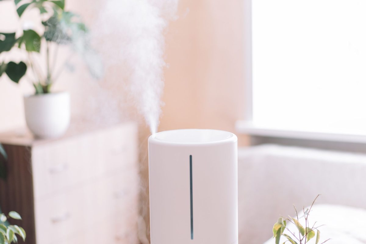 Where is the Best Place for Your Humidifier in Winter? We Consulted Home Experts