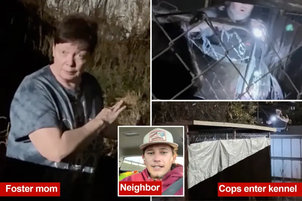 Woman with a mental disability discovered confined in a dog kennel in Texas after a neighbor heard cries for help