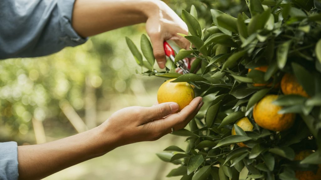 You can still make the most of the 0% capital gains bracket for 2025. Here’s what to understand.