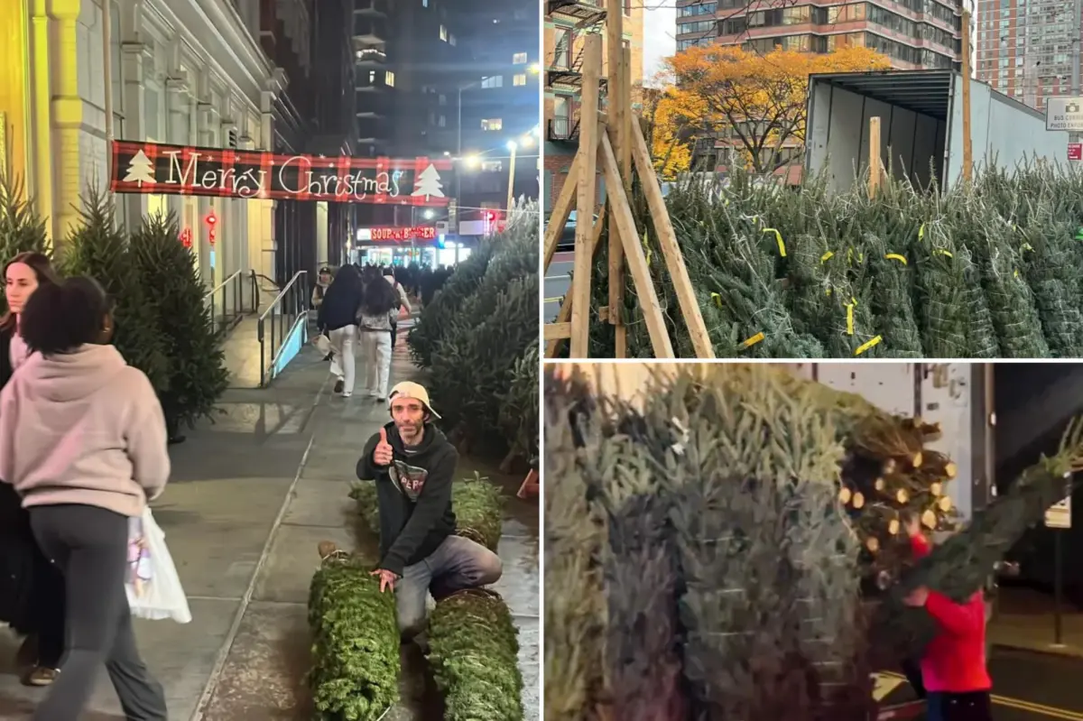 ‘Christmas Tree Law’ prohibits sidewalk sales in NYC before a certain date, yet early sales continue to thrive