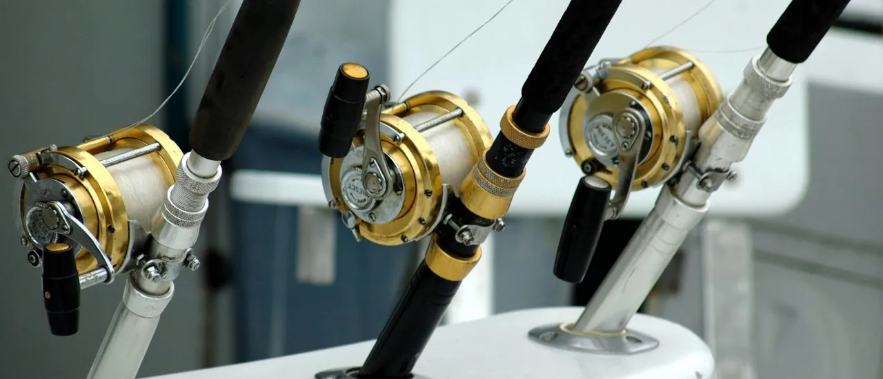 5 Ways Expert Advice Enhances Your Online Fishing Charter Booking Experience