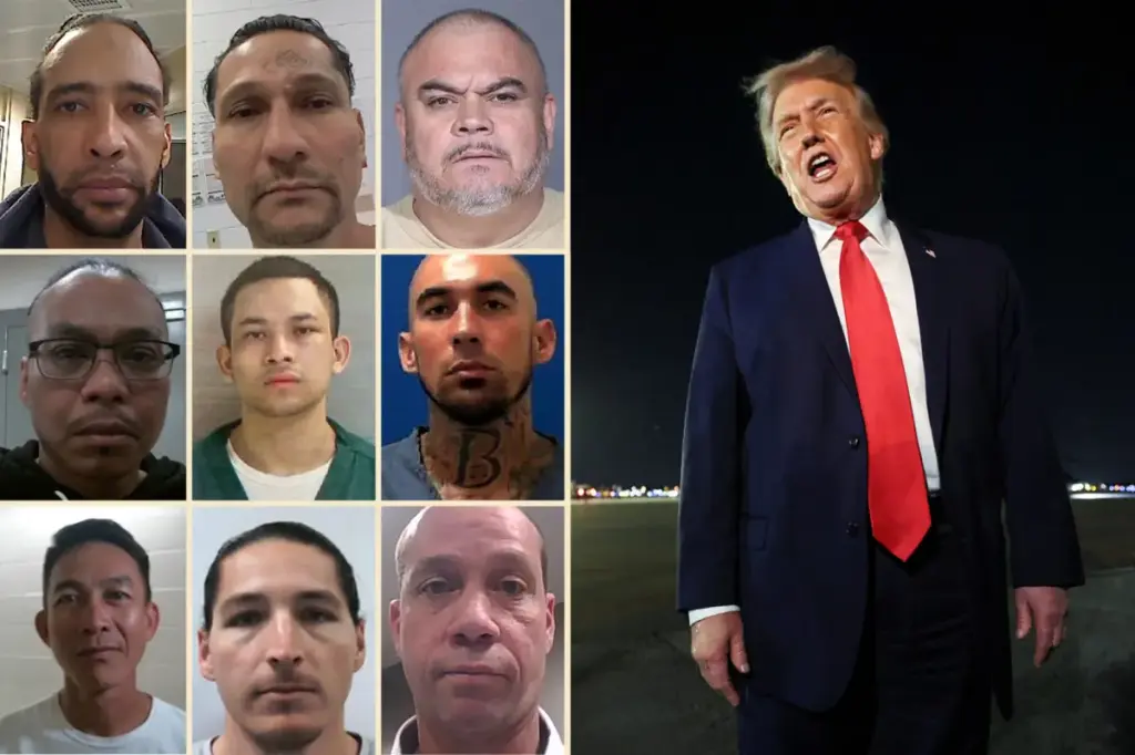7,000 gang members who entered illegally arrested in the first year of Trump's second term: 'Restore safety in America'