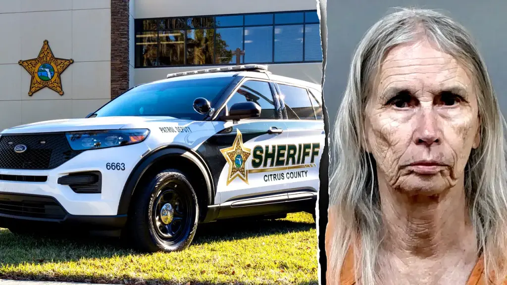 81-year-old Florida woman taken into custody for supposedly seeking a hitman